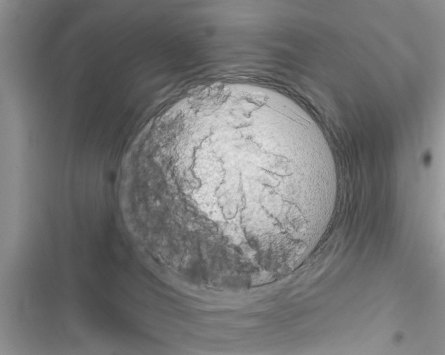 X0000116630036201001221410