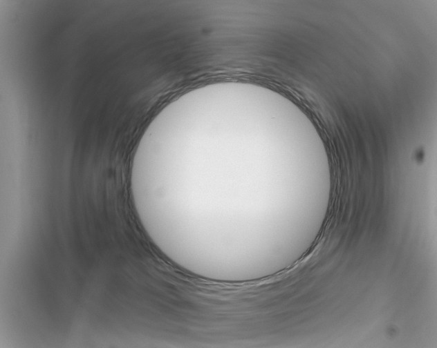 X0000116630037201001221410