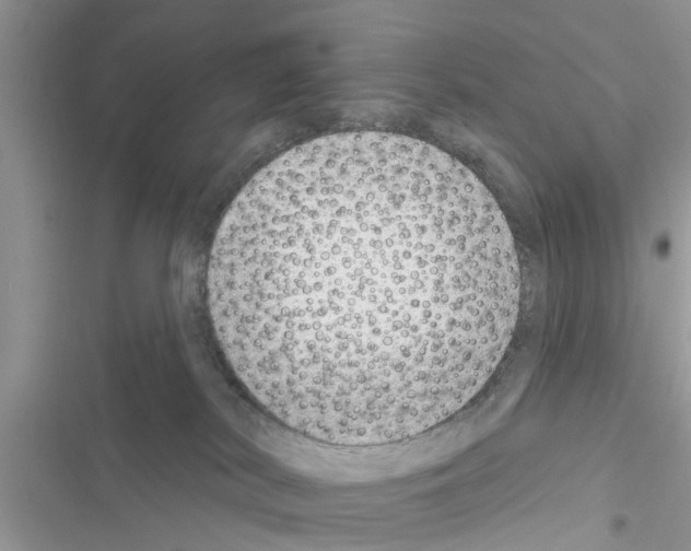 X0000116630038201001221410