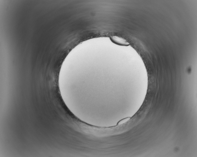 X0000116630039201001221410