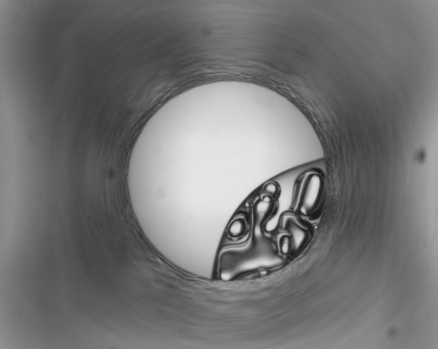 X0000116630041201001221410