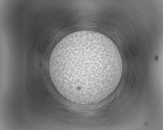 X0000116630042201001221410