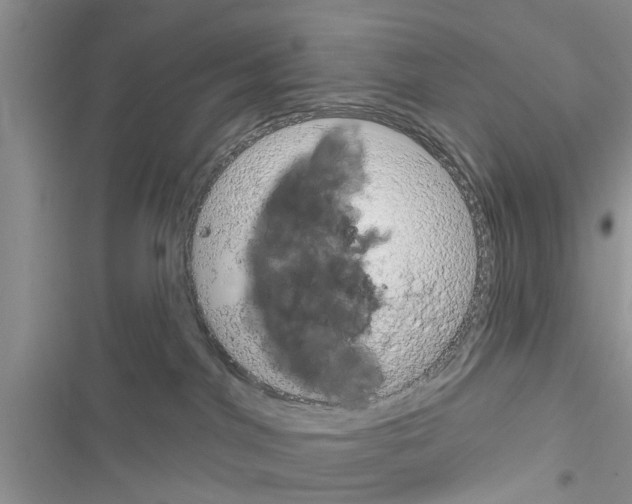 X0000116630044201001221410