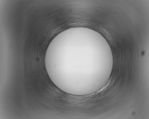 X0000116630045201001221410
