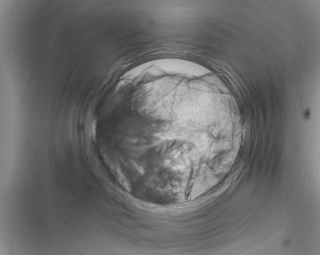 X0000116630046201001221410