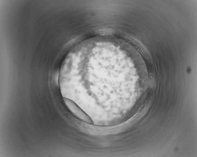 X0000116630047201001221410
