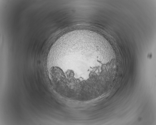 X0000116630048201001221410