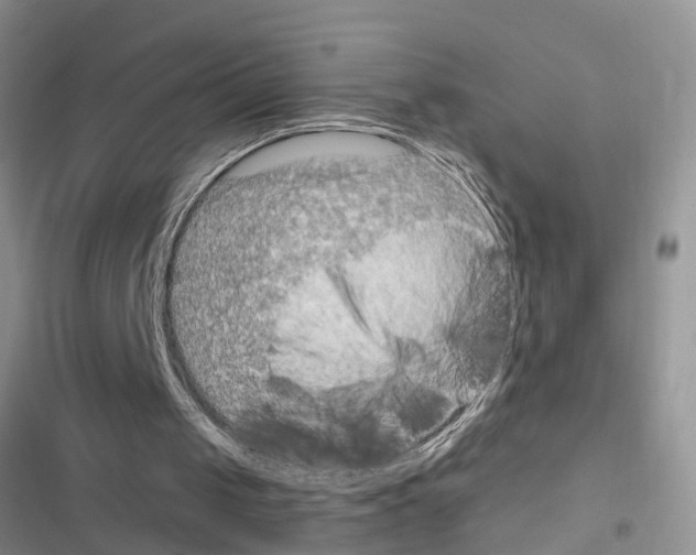 X0000116630049201001221409