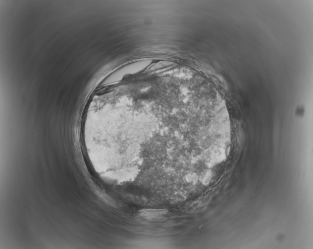X0000116630051201001221409