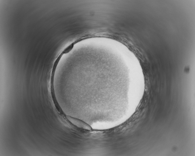 X0000116630052201001221409