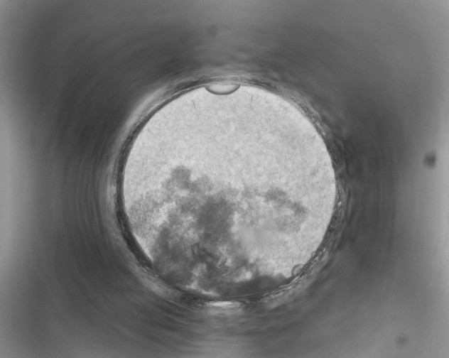 X0000116630053201001221409