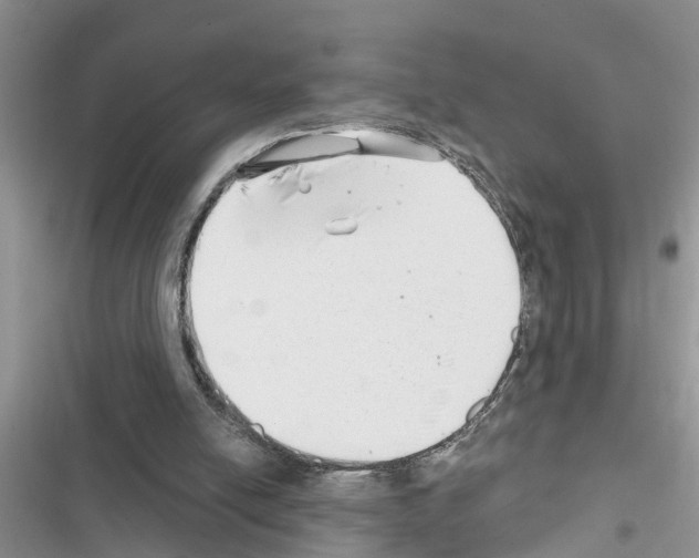 X0000116630054201001221409