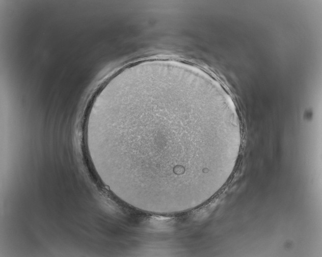 X0000116630055201001221409