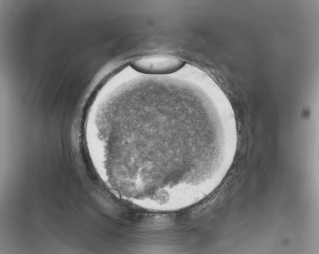 X0000116630056201001221409