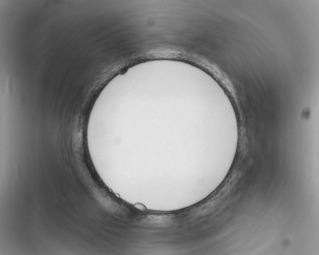 X0000116630057201001221409