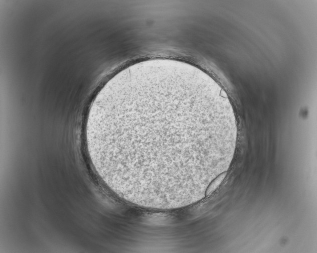 X0000116630058201001221409