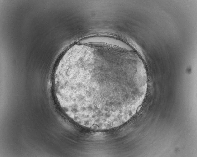 X0000116630059201001221409