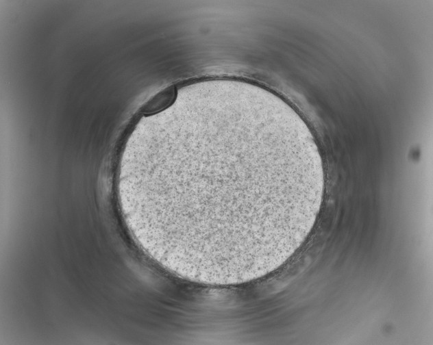 X0000116630060201001221409