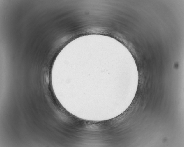 X0000116630062201001221409