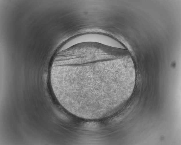 X0000116630063201001221409