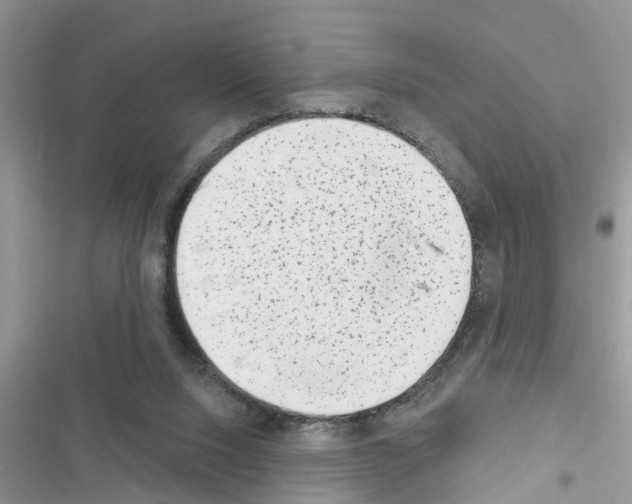 X0000116630064201001221409
