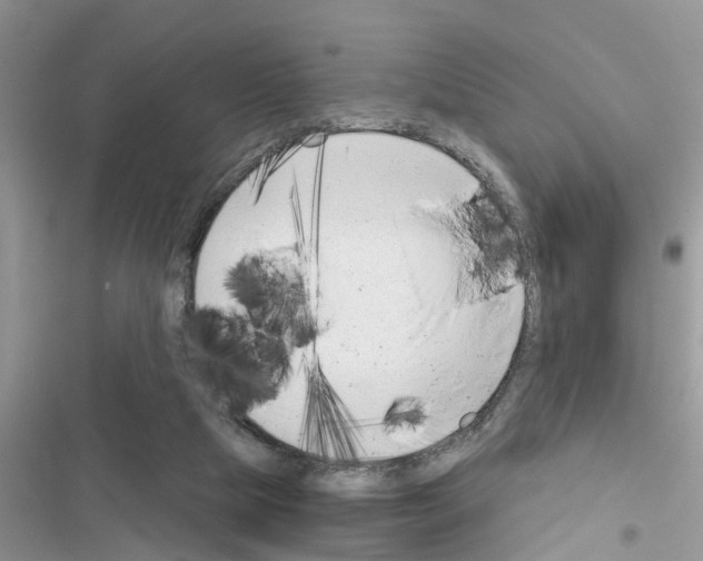 X0000116630065201001221409