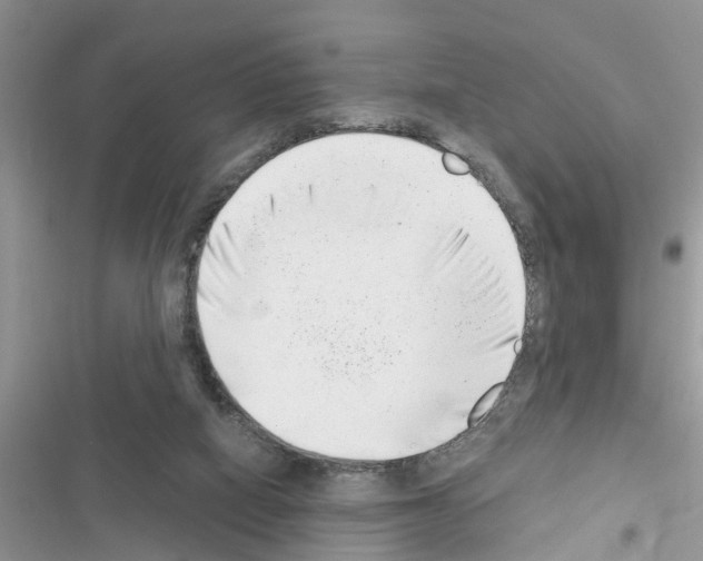 X0000116630066201001221409