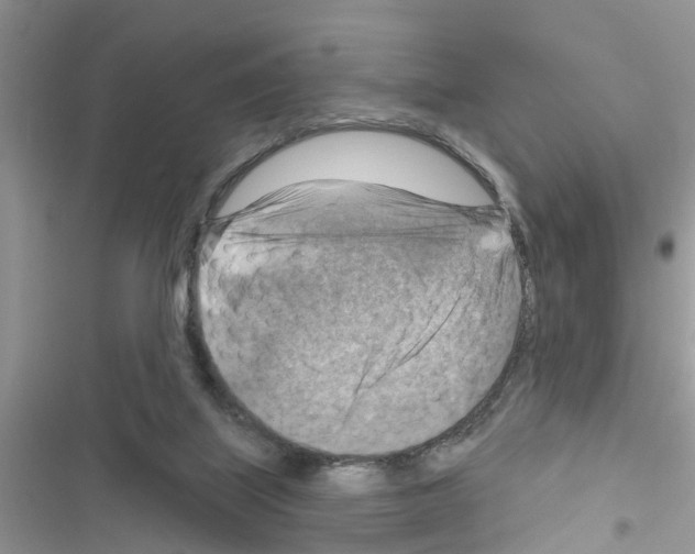 X0000116630067201001221409