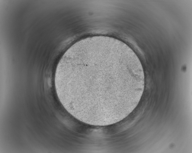 X0000116630068201001221409