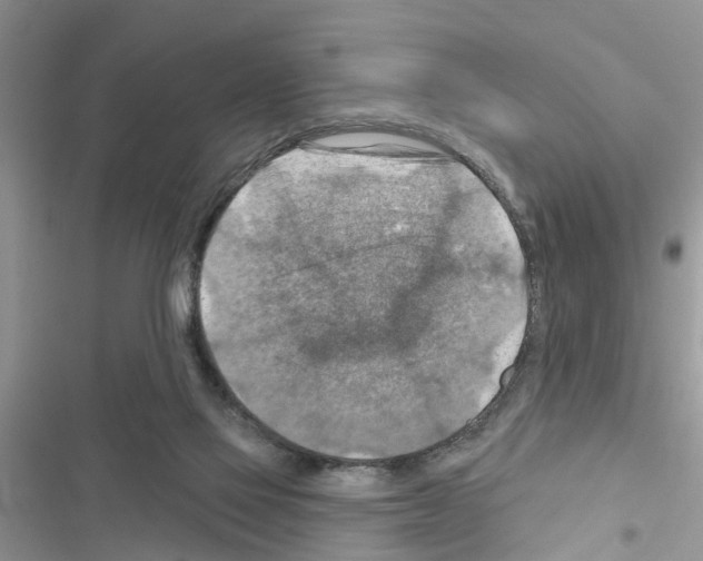 X0000116630069201001221409