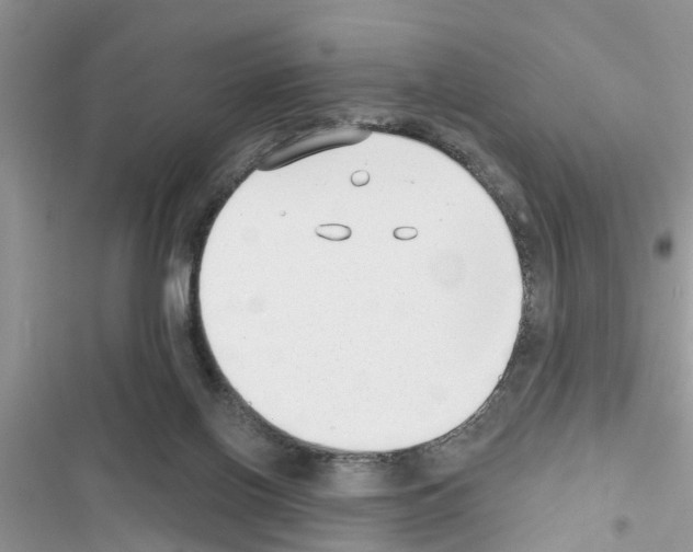 X0000116630070201001221409