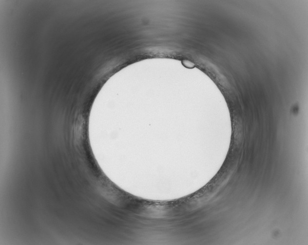 X0000116630071201001221409