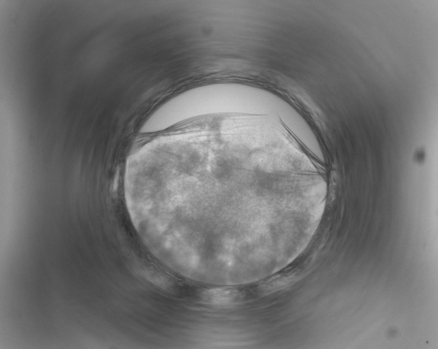 X0000116630073201001221409