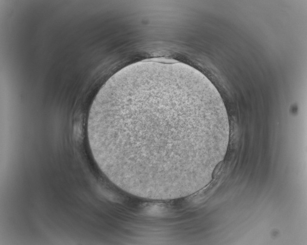 X0000116630074201001221409