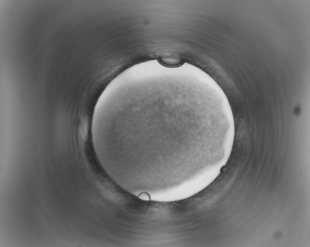 X0000116630076201001221409