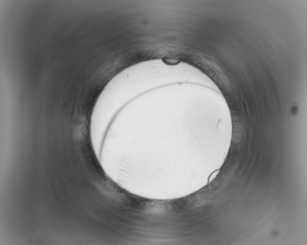 X0000116630077201001221409