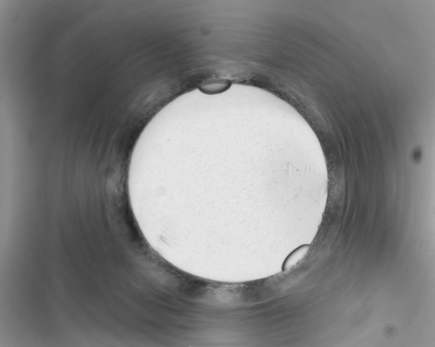 X0000116630078201001221409