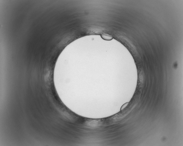 X0000116630079201001221409