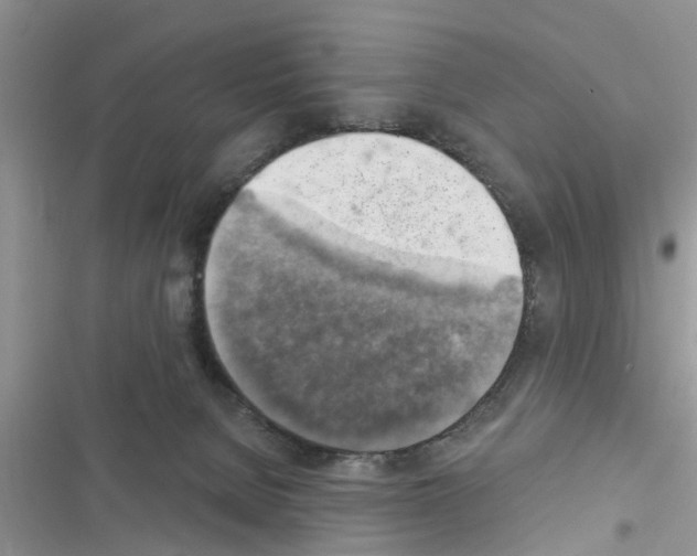 X0000116630080201001221409