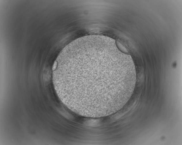X0000116630081201001221409