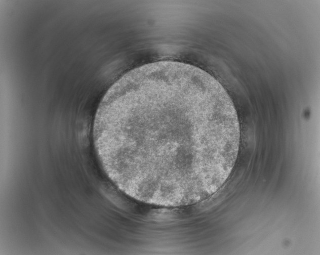 X0000116630082201001221409