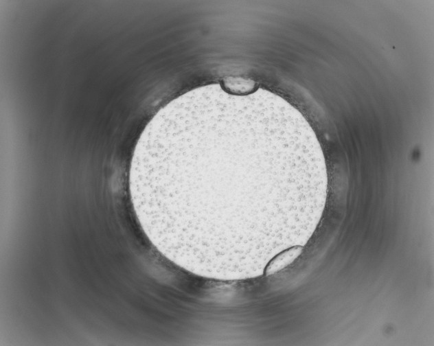X0000116630083201001221409