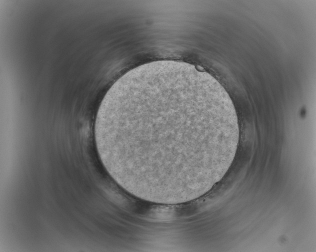 X0000116630084201001221409