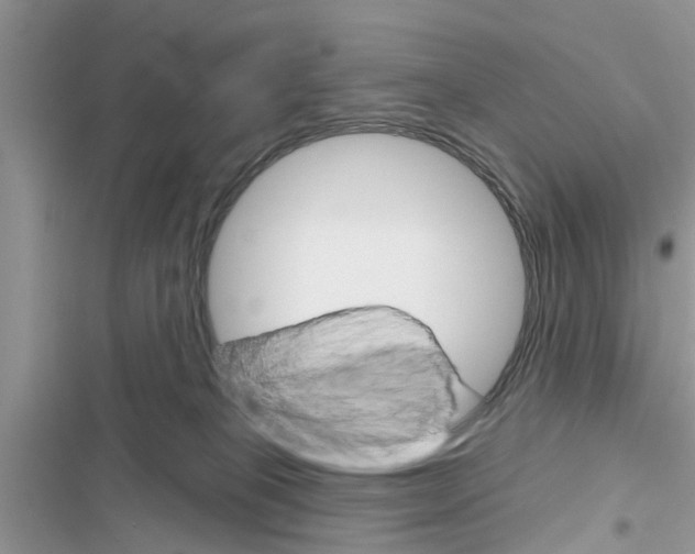 X0000116630085201001221409