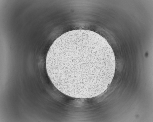 X0000116630086201001221409