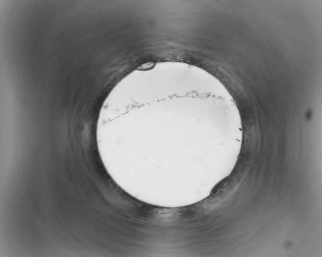 X0000116630088201001221410