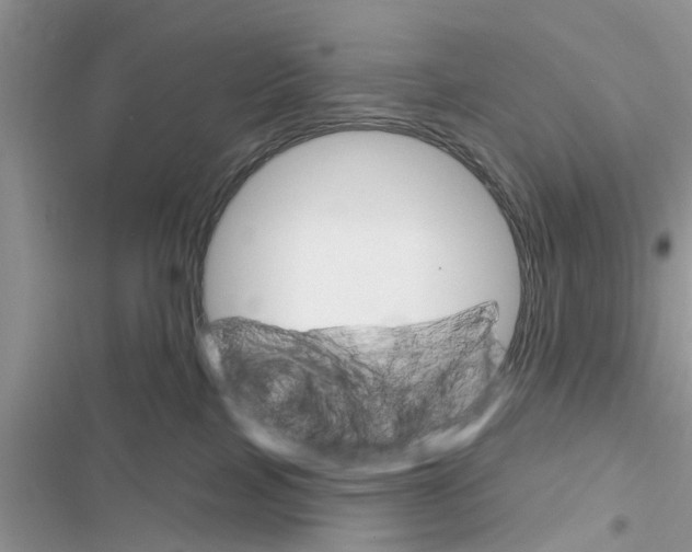 X0000116630089201001221410