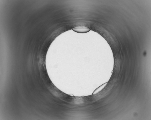 X0000116630091201001221410