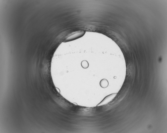 X0000116630092201001221410