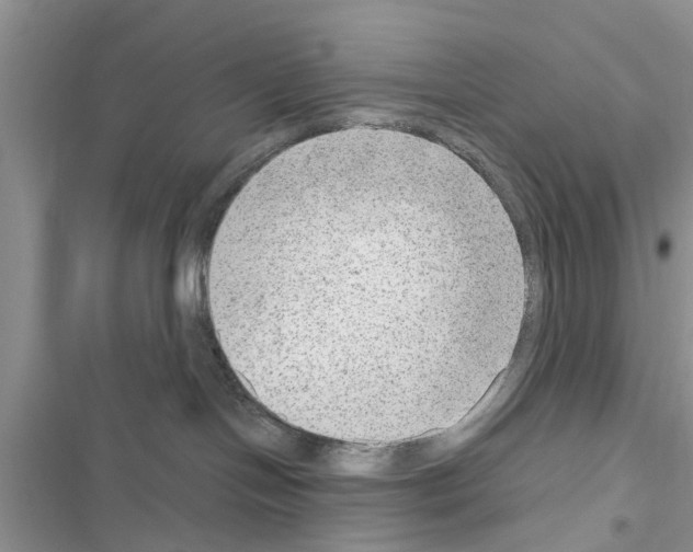 X0000116630094201001221410